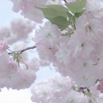 北川福瑞交流群